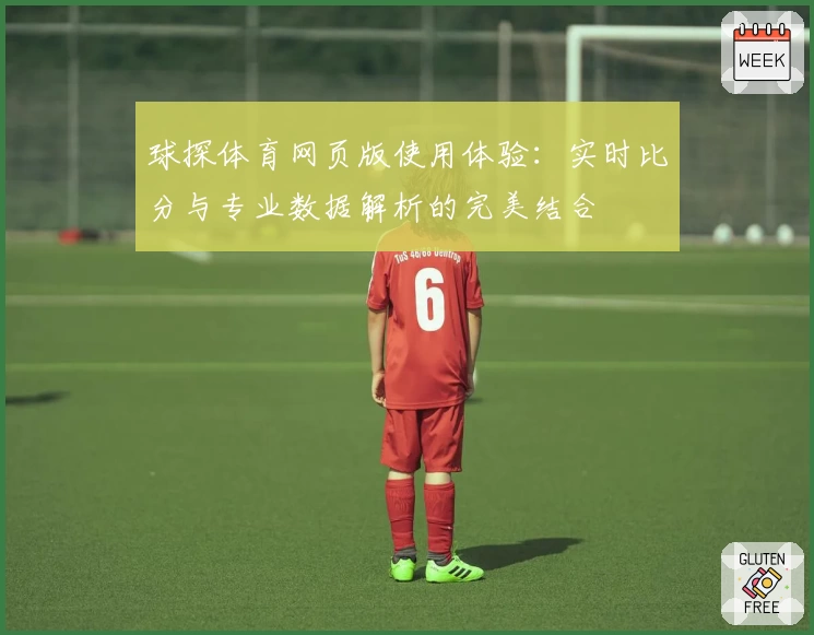 球探体育网页版使用体验：实时比分与专业数据解析的完美结合