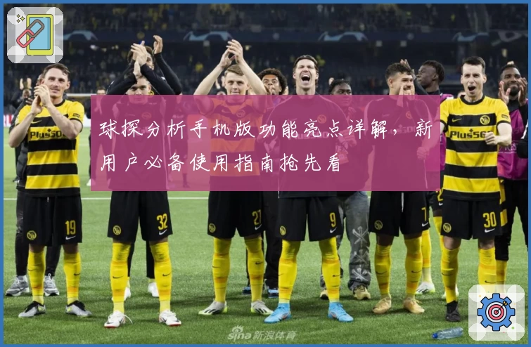 球探分析手机版功能亮点详解，新用户必备使用指南抢先看