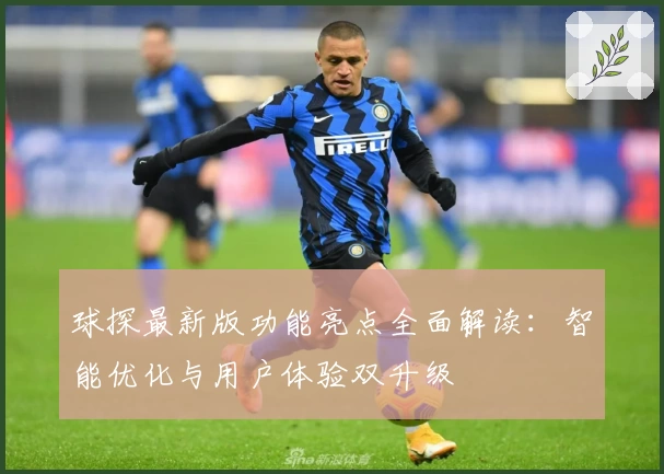 球探最新版功能亮点全面解读：智能优化与用户体验双升级