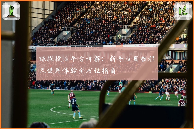 球探投注平台详解：新手注册教程及使用体验全方位指南
